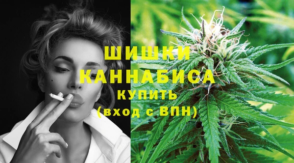 винт Аркадак