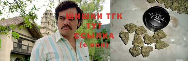 мдпв Елабуга