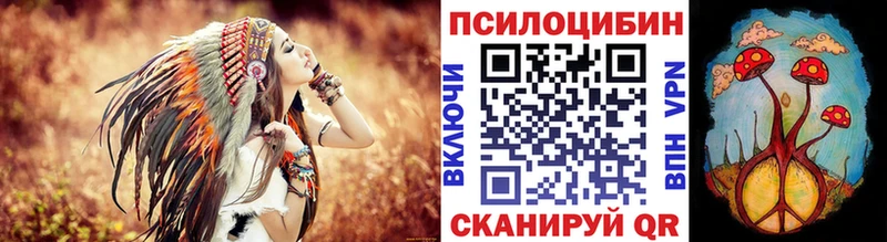Галлюциногенные грибы Psilocybe  Каменногорск 