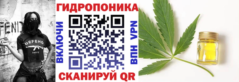 кракен рабочий сайт  купить   Каменногорск  Марихуана OG Kush 